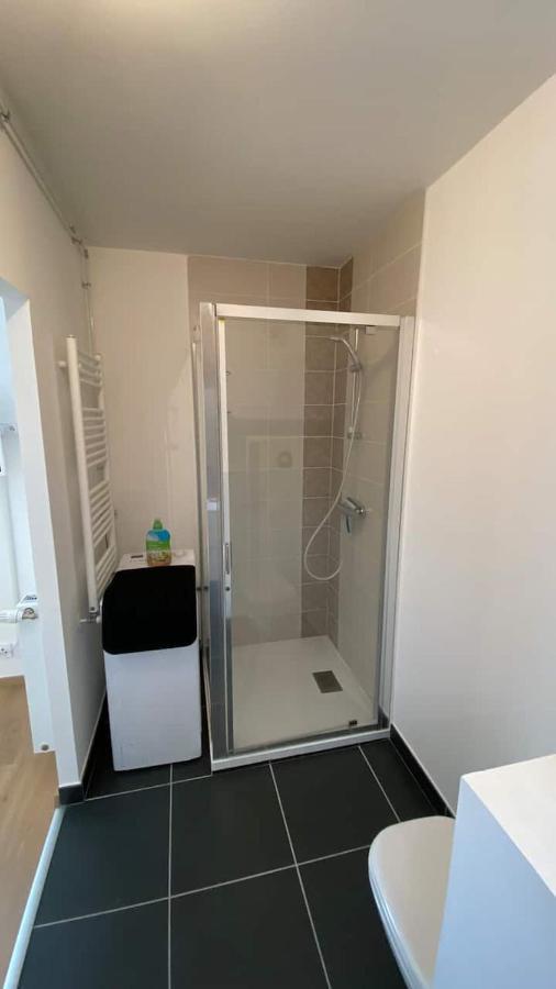 Magnifique Studio Avec Terrasse Et Garage Apartment Chens-sur-Leman Exterior foto